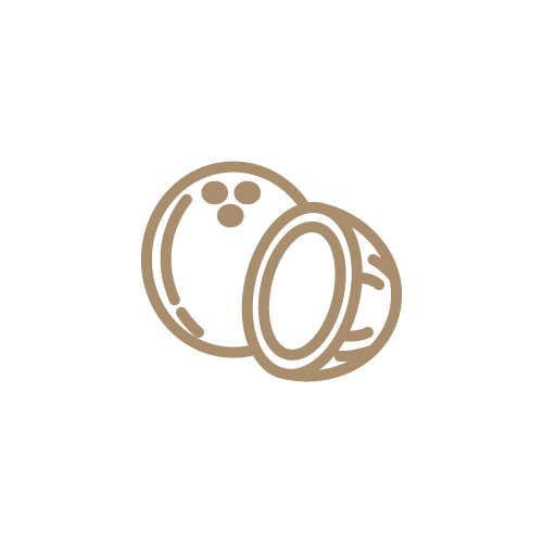 Kokosdrink Icon